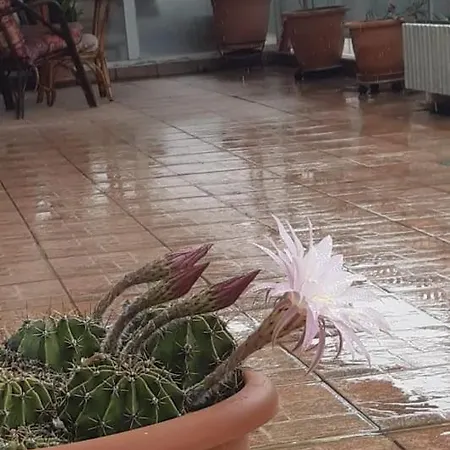 το σπίτι της μυρσίνης Volos